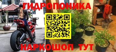 a pvp Жуковский