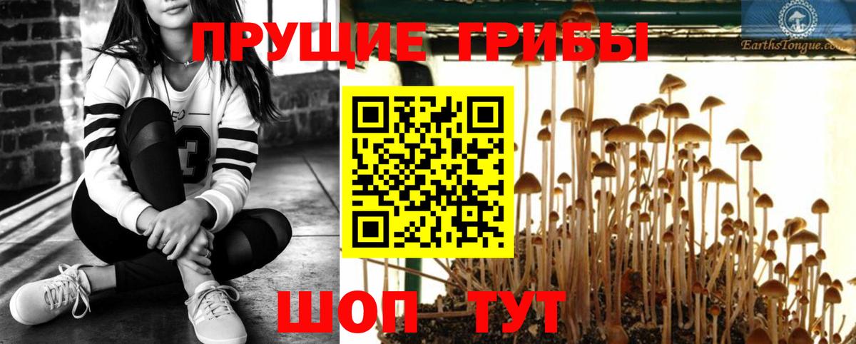 Псилоцибиновые грибы мухоморы Сызрань