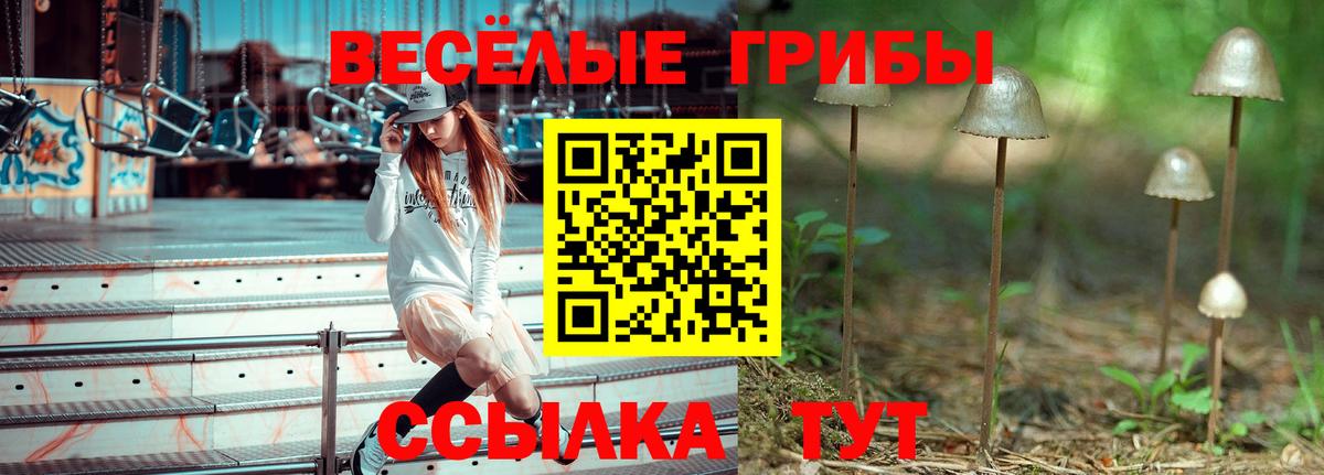 Сызрань  Псилоцибиновые грибы Cubensis  Вход с VPN 